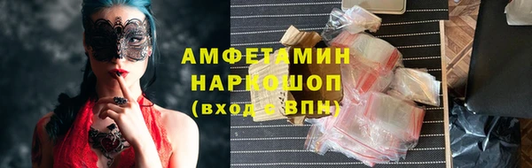 амф Новодвинск