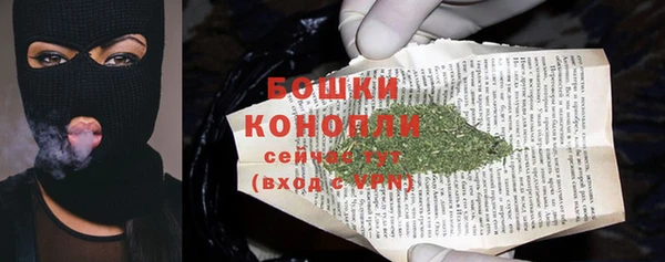 амф Новодвинск