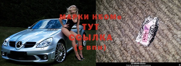 амф Новодвинск