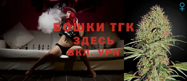 амф Новодвинск