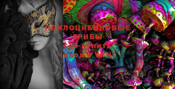 амф Новодвинск