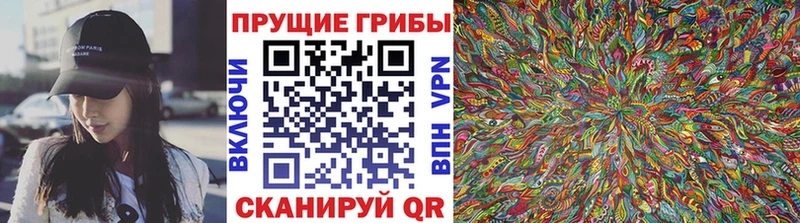 Галлюциногенные грибы MAGIC MUSHROOMS  OMG зеркало  Фёдоровский  где купить  